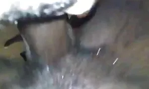 ملكة الأبنوس الملاعي ...