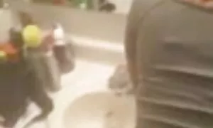 الهندي منتديات يبدو  ...